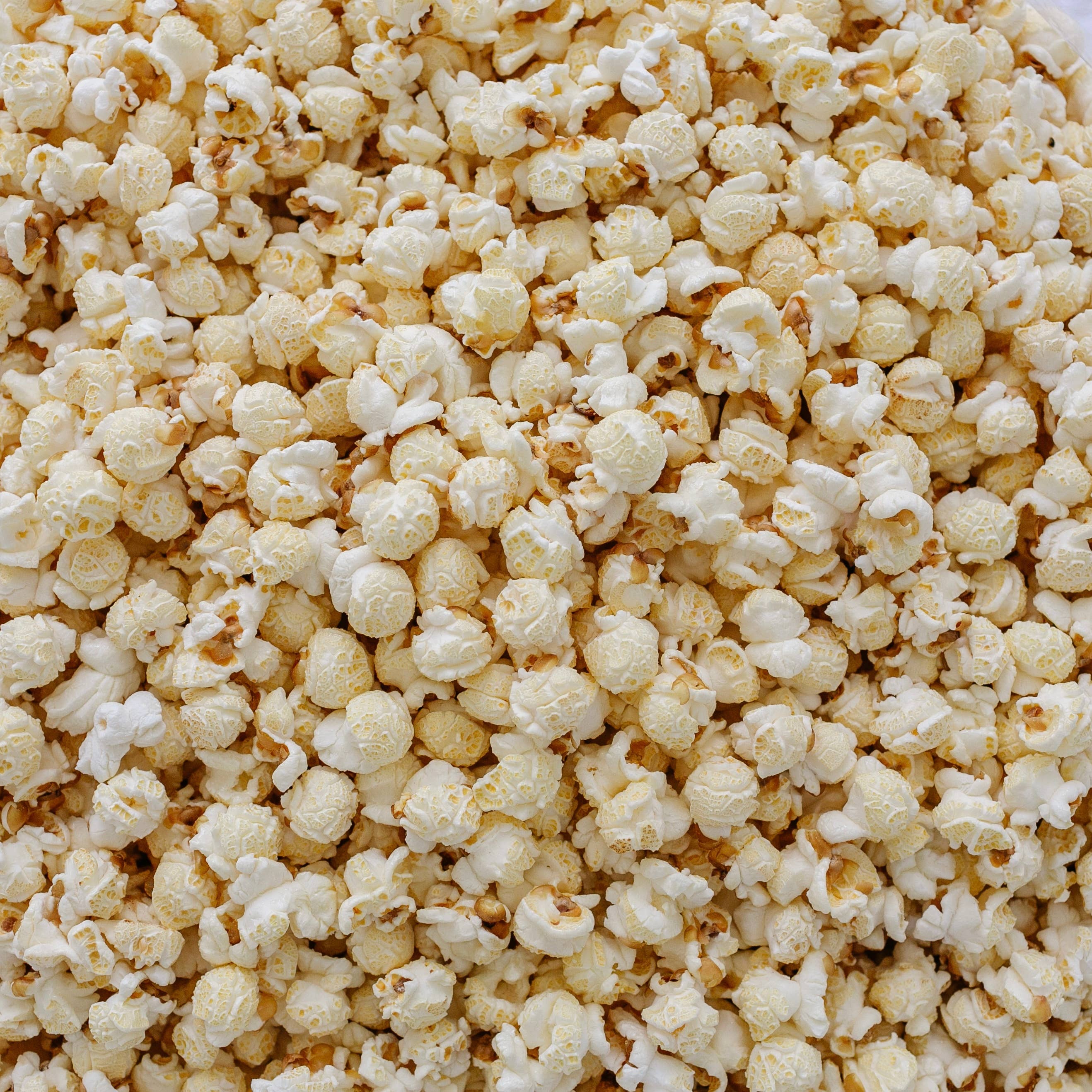 Miss Hannah's Gourmet Popcorn – Großhandel Popcorn – Mais-Popcorn-Wasserkocher3