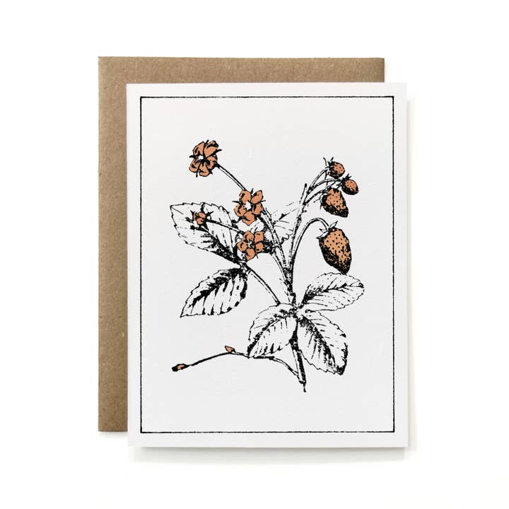 Knapping Press - Wholesale Stationery/Notecard Set - Set of 6 - 100% Recycled Painted Botanicals Card Collection8