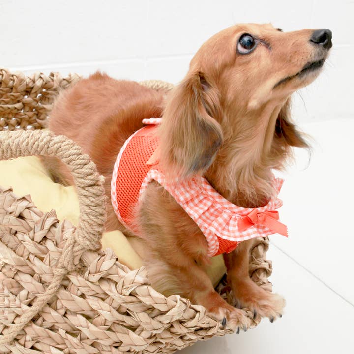 Puppia International Inc. - Vente Harnais – chien - Harnais pour chien Vivien Vest à carreaux5