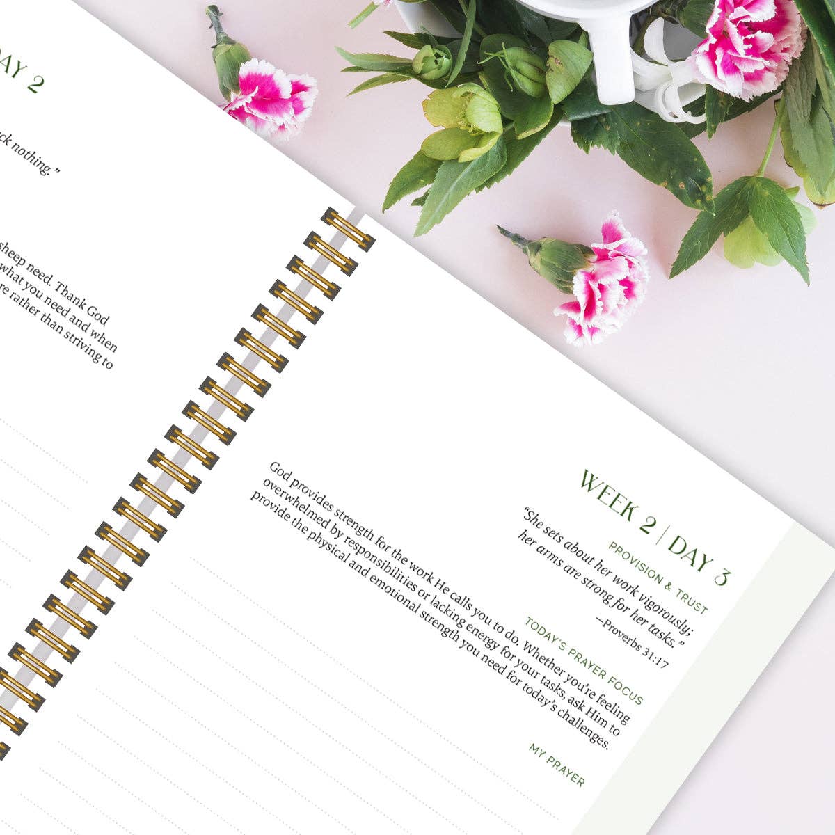Spiral Bible – Großhandel Tagebuch – Ein Jahr im Gebet: Eine Reise des täglichen Gebets und der Reflexion8