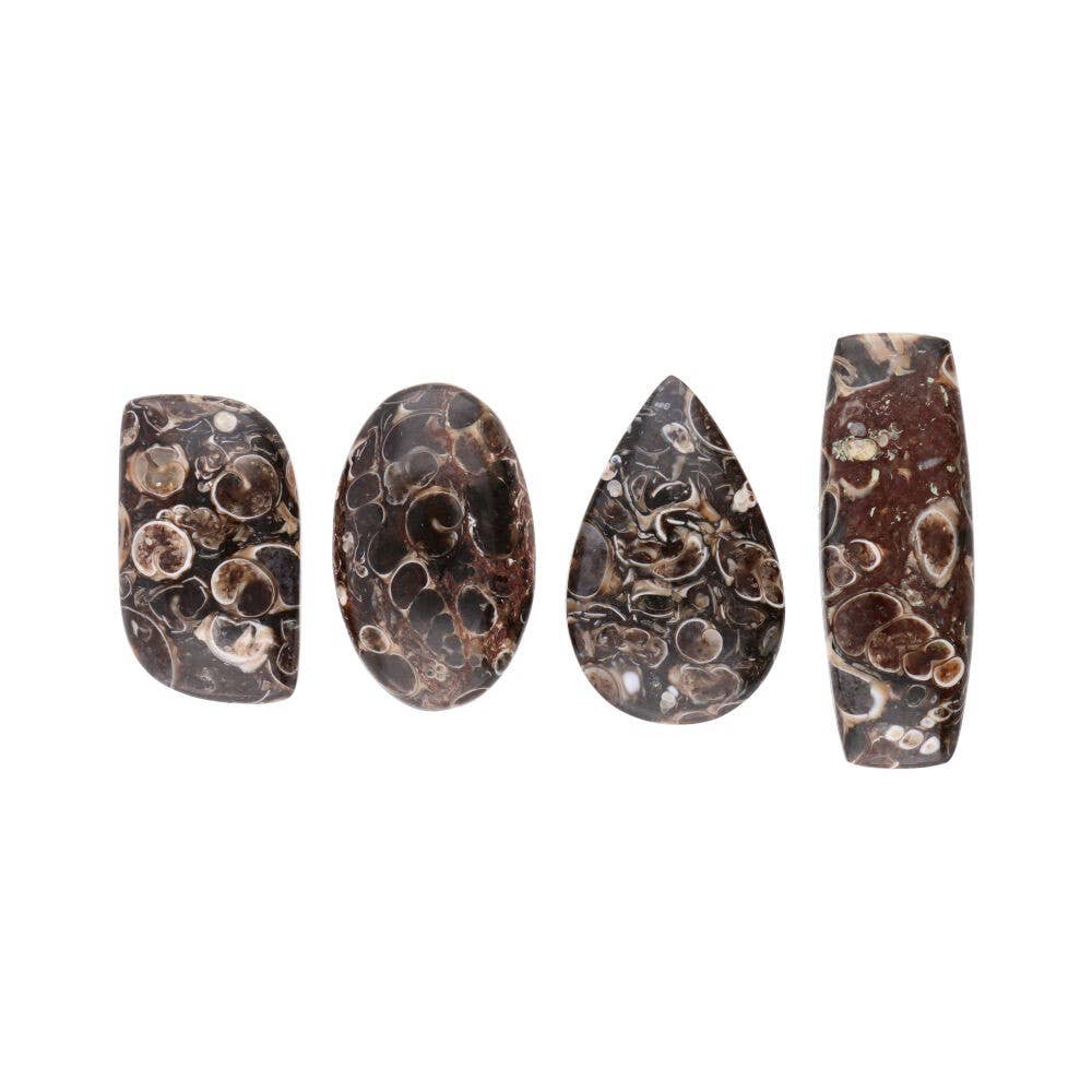 Vives de la Cortada S.L - Wholesale Spirituele steen/kristal - Fossiele jaspis cabochon (verpakking van 30 g)0