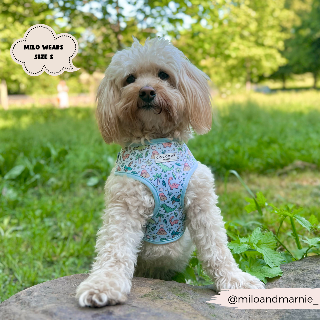 Cocopup London - Venta al por mayor Arnés - Perros - Arnés ajustable para cuello Dinopaws14