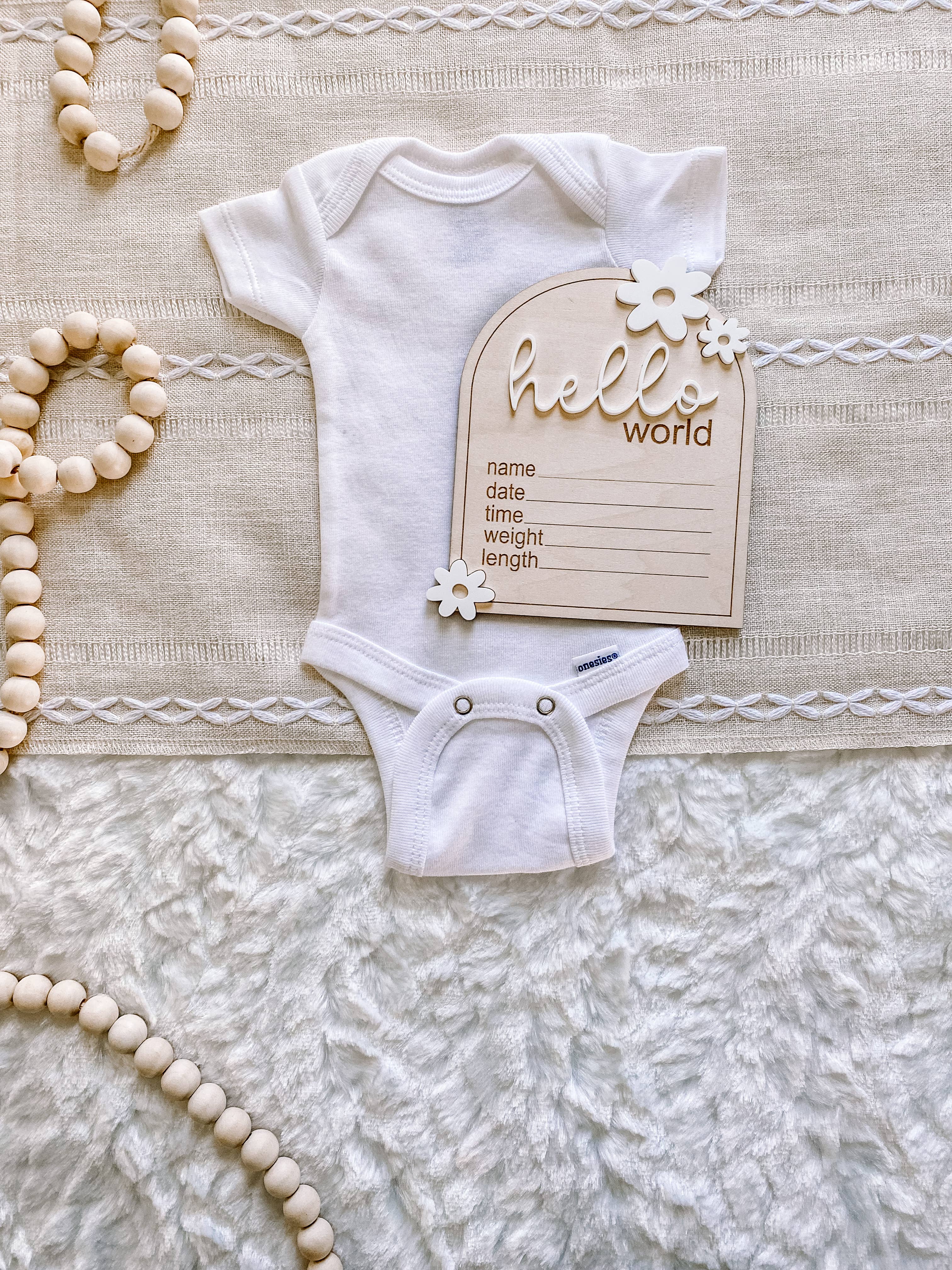 Claire and Bella - Wholesale Milestone Art/Keepsake - Kids & Baby - Wooden Monthly Milestone Set - Daisy6