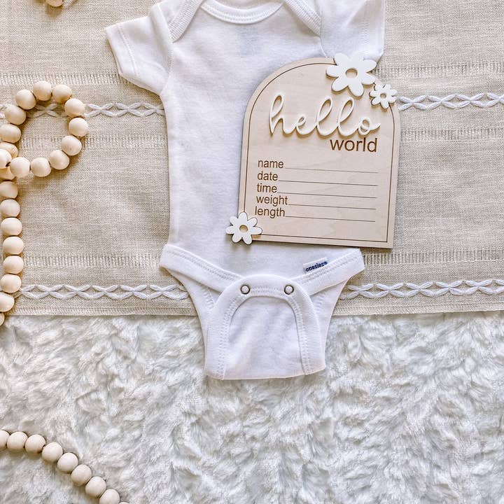 Claire and Bella - Wholesale Milestone Art/Keepsake - Kids & Baby - Wooden Monthly Milestone Set - Daisy6