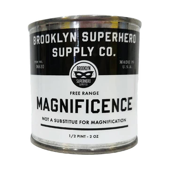 Brooklyn Superhero Supply Co. - Wholesale Gag Gift/Novelty Gift - Magnificence