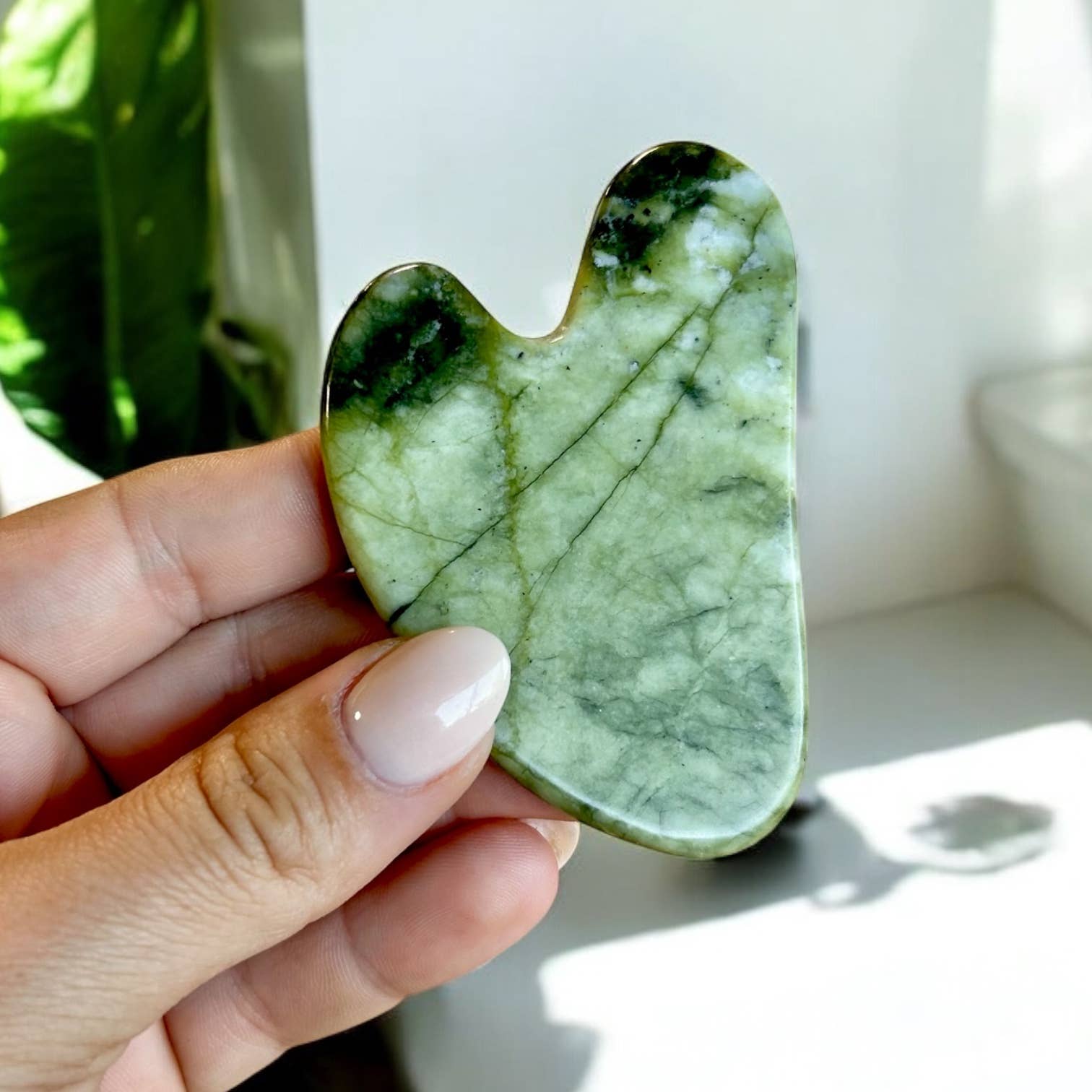 Bamboo Switch - Wholesale Gua Sha Tool - Jade Gua Sha | Facial Stone | Self Care Bestseller 2