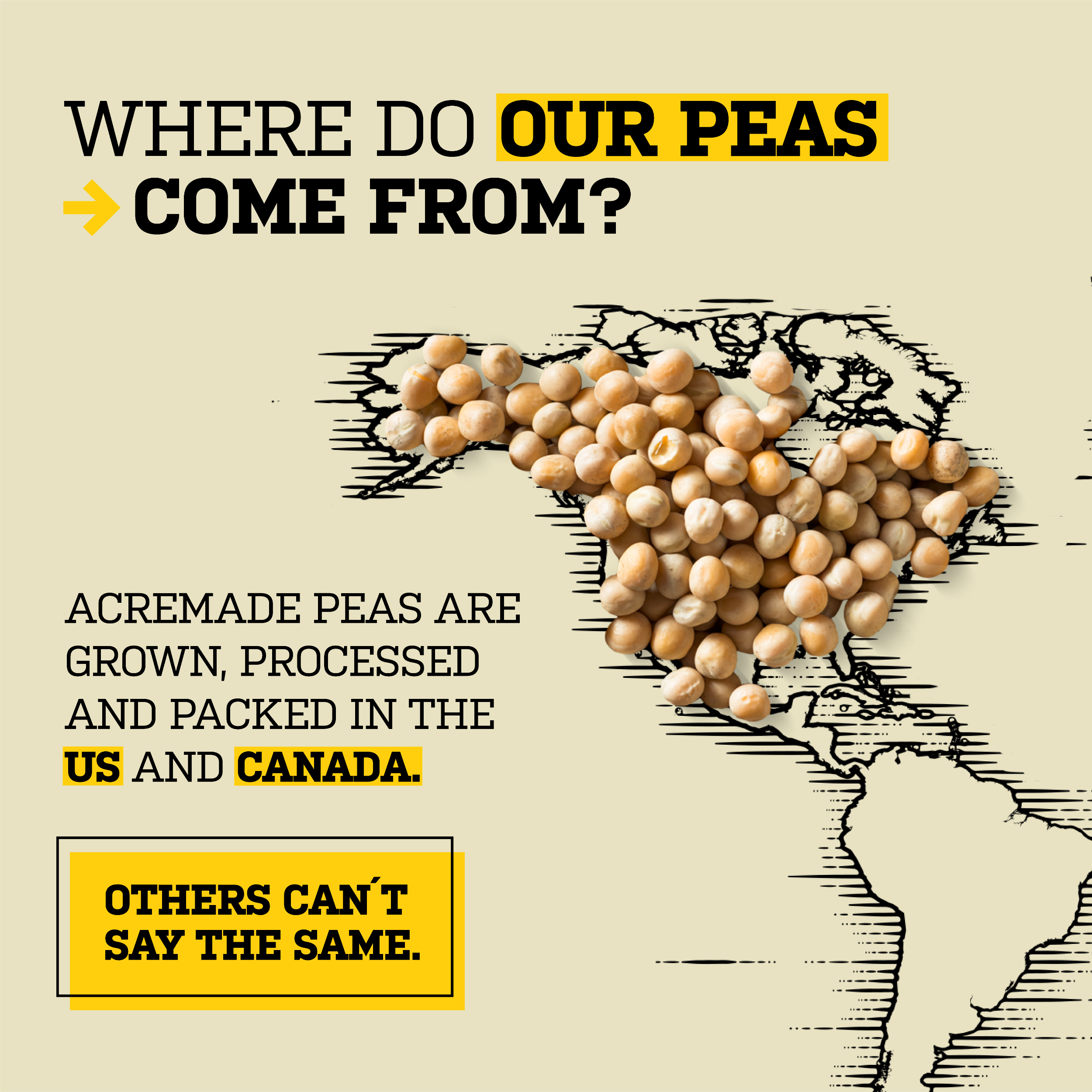 AcreMade - Wholesale Protein/Superfood Powder - AcreMade Plant-Based Egg Substitute7