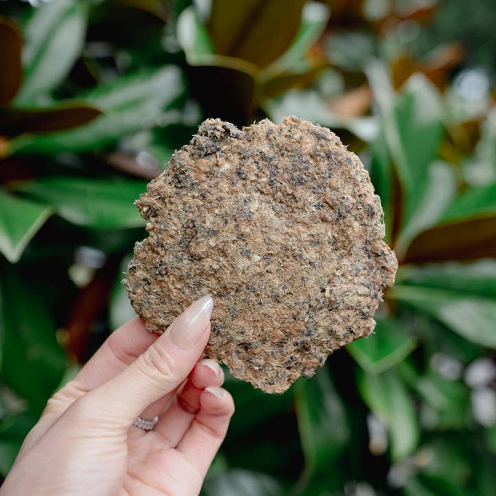 Love Liparu - Wholesale Pet Treats - Dog - WHOLE PREY GROUND QUAIL | Freeze-Dried Dog + Cat Treat