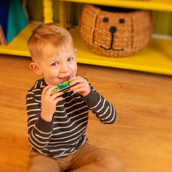 Stephen Joseph Gifts - Wholesale Musical Toy - Kids & Baby - Harmonicas2