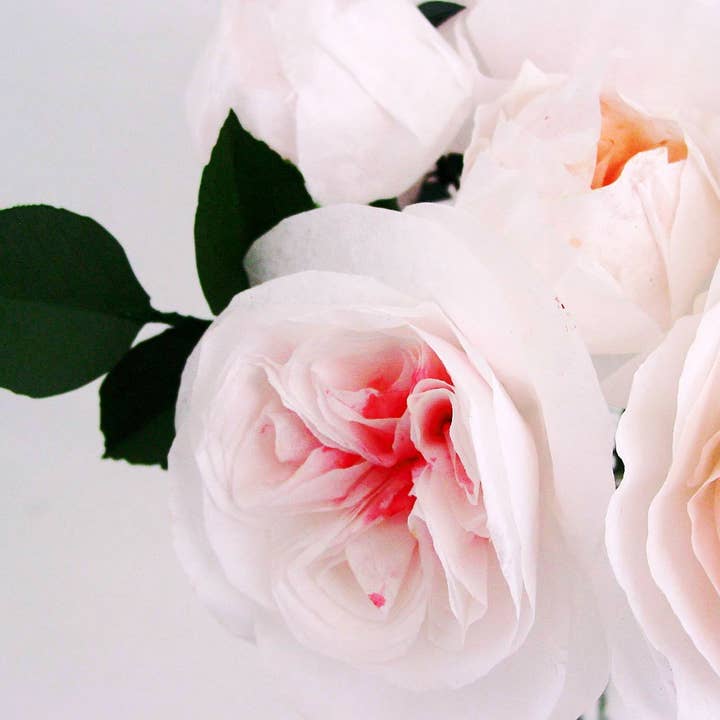 Beautiful Things By Bec - Wholesale Artificial Flowers - Paper David Austin Roses set of 10 Stems