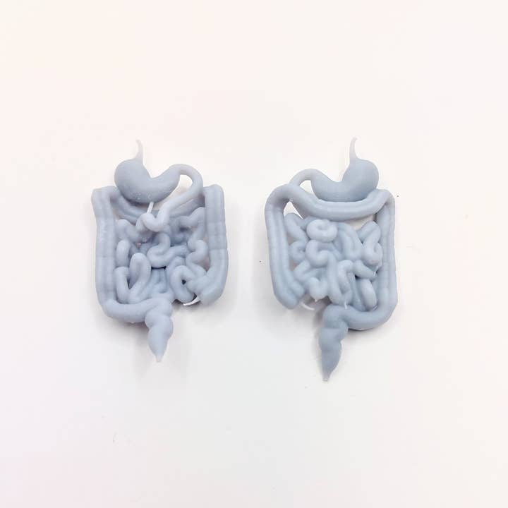 The Scale Grail - Wholesale Decorative Figurine - Human Guts - intestines and stomach for 1:12 scale dioramas, horror scenes, terrariums, arts crafts, action figures, doll house (set of two)