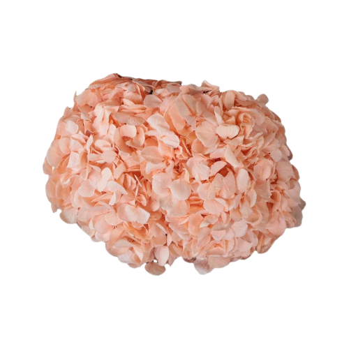 Concari.flores Preservadas - Wholesale Artificial Flowers - PRESERVED HYDRANGEA FLOWER2