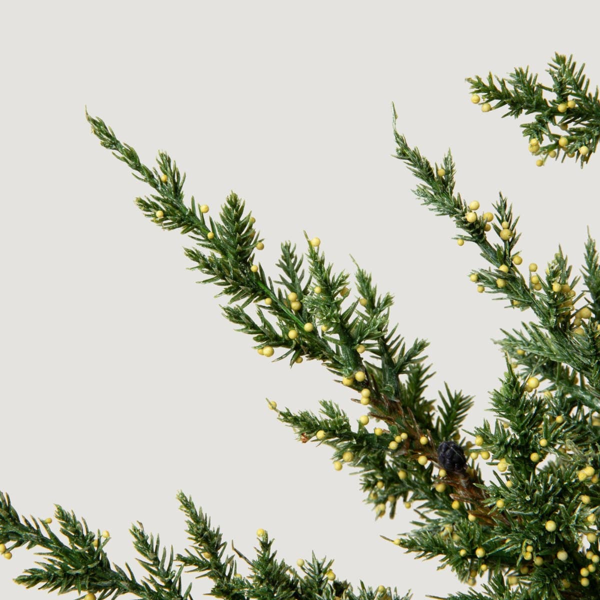 Afloral - Wholesale Artificial Plant - Artificial Evergreen Pine Branch - 37"1