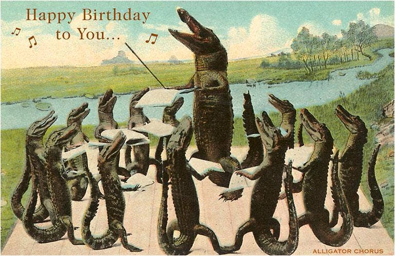Found Image Press - Wholesale Postcard - Postcard HB-224 Happy Birthday, Alligator Chorus0