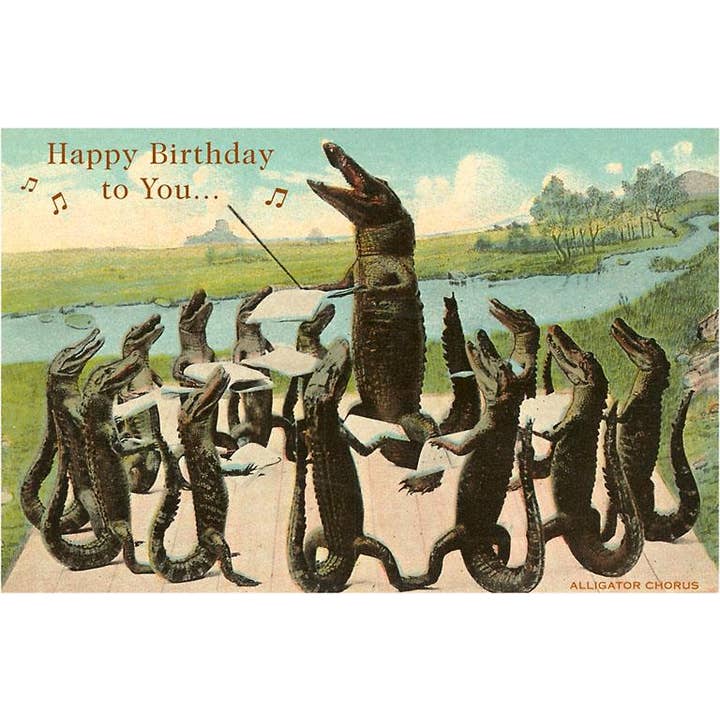 Found Image Press - Wholesale Postcard - Postcard HB-224 Happy Birthday, Alligator Chorus