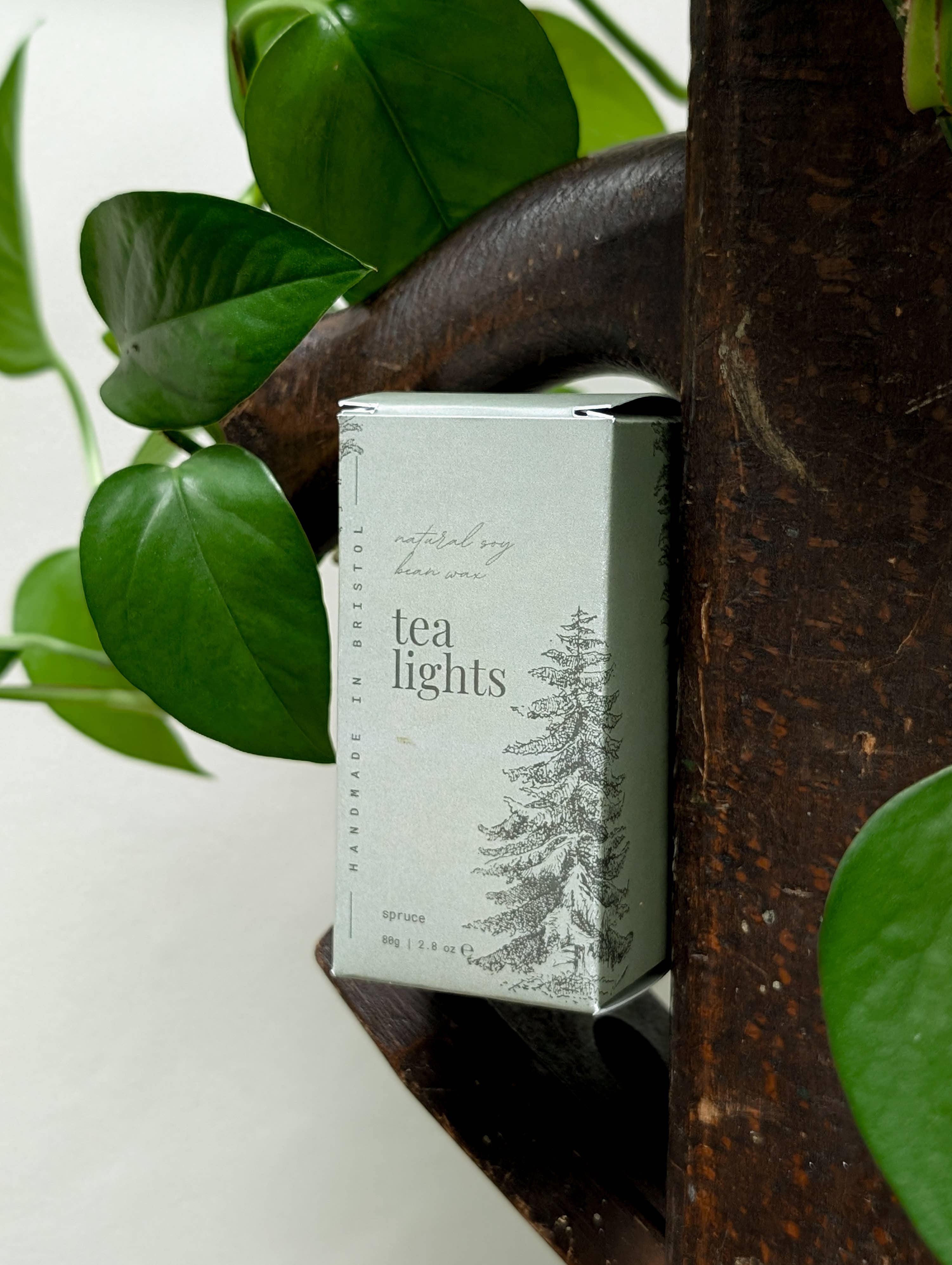 Banksia Botanicals - Wholesale Tea light candles - Spruce Soy Wax Tea Lights0
