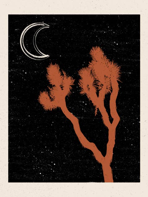 After Hours (Joshua Tree) for wholesale by Walker Noble Studios