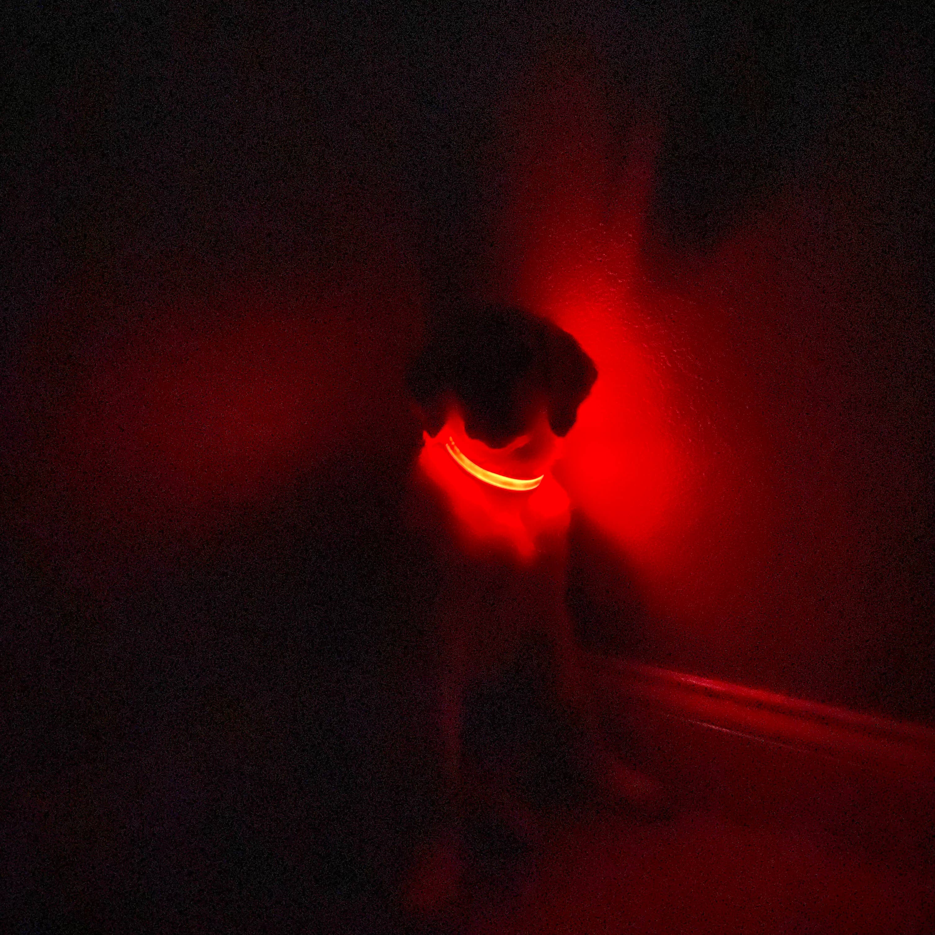 Puppy LED - Vendita all'ingrosso Collare - Cani - Collare per cani LED ricaricabile USB ad alta visibilità18