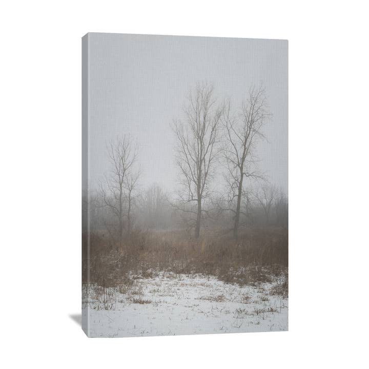 Myeerah Trees In Winter Canvas for wholesale by Nature's Vista Photography