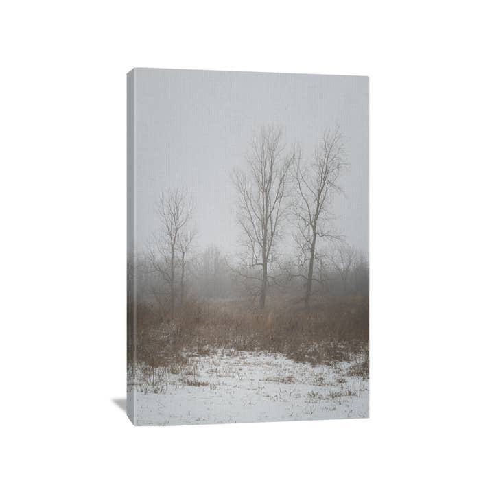 Myeerah Trees In Winter Canvas for wholesale by Nature's Vista Photography
