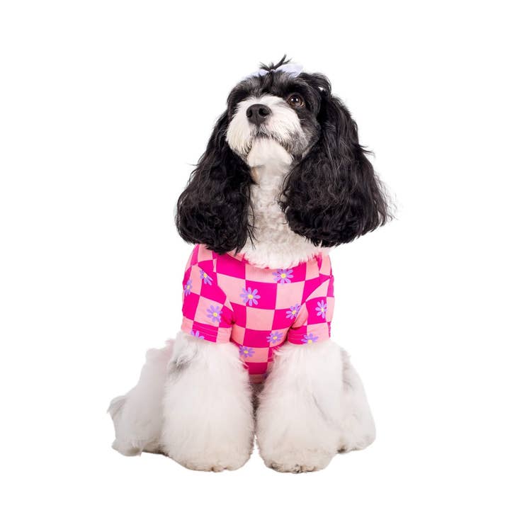 Vibrant Hound - Wholesale Pet Shirt - Dog - Dreaming of daisys dog cooling tee