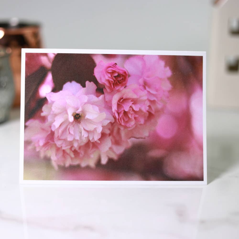 New England Prints - Wholesale Stationery/Notecard Set - Box of 5 All Occasion Spring Blossom Blank Note Cards7