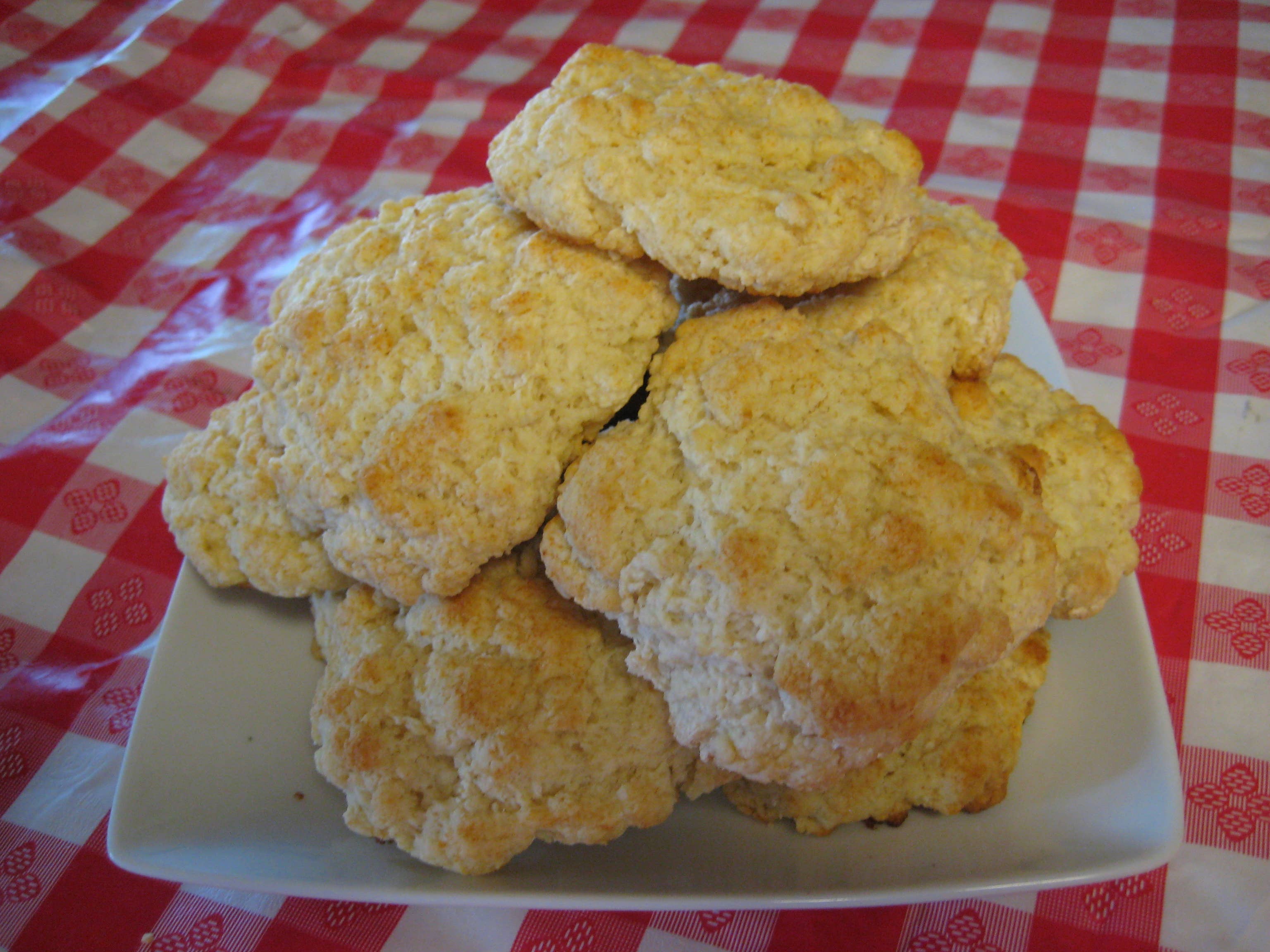 Papa Ray's Marketplace – Preparado de biscoto por atacado – Mistura para Biscoitos Sourdough4