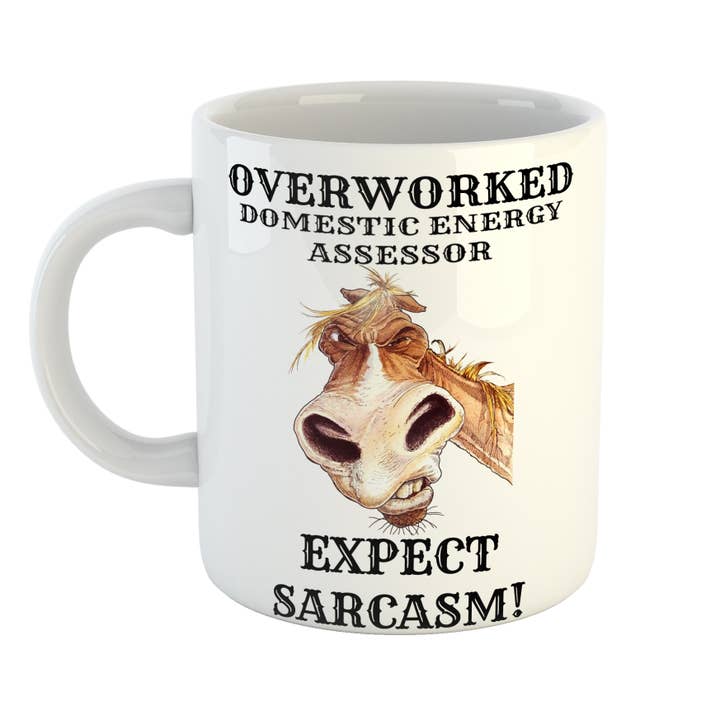 Overworked Domestic Energy Assessor Sarcasm Mug for wholesale by Just The Shirt