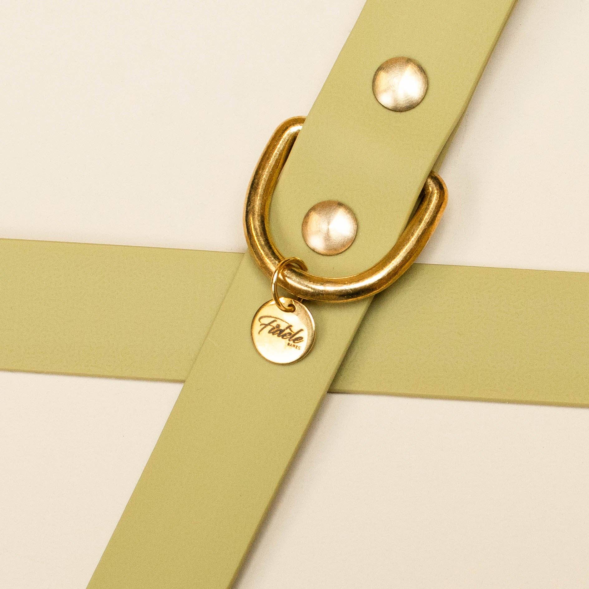 Fidèle Paris - Wholesale Pet Collar - Dog - “The Adventurer” necklace - Linden2