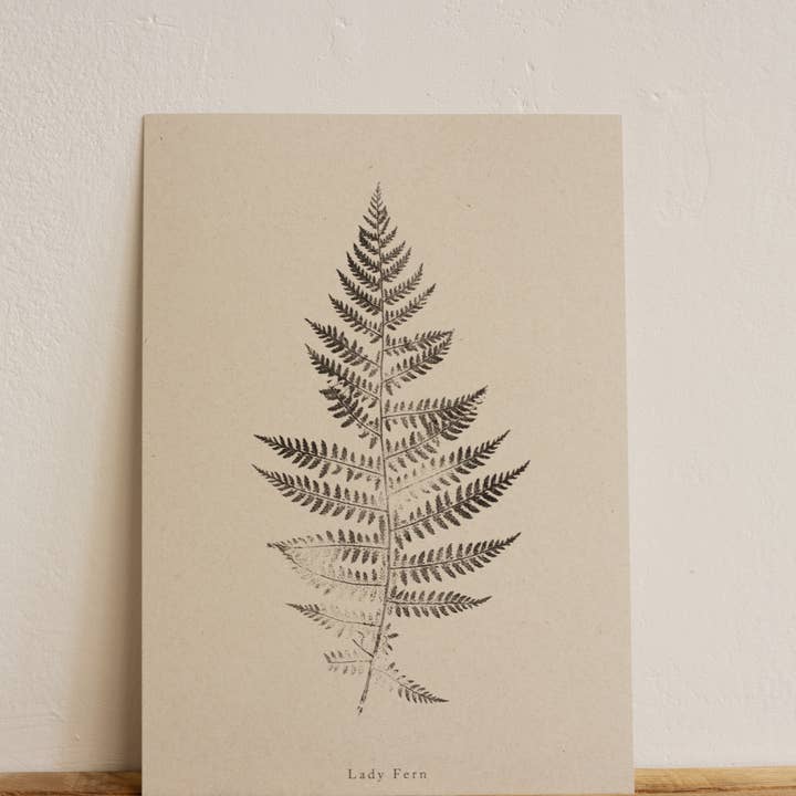 Fern Print - Botanical Art Print A5 A4 A3 Lady Fern for wholesale by Alicia Breakspear
