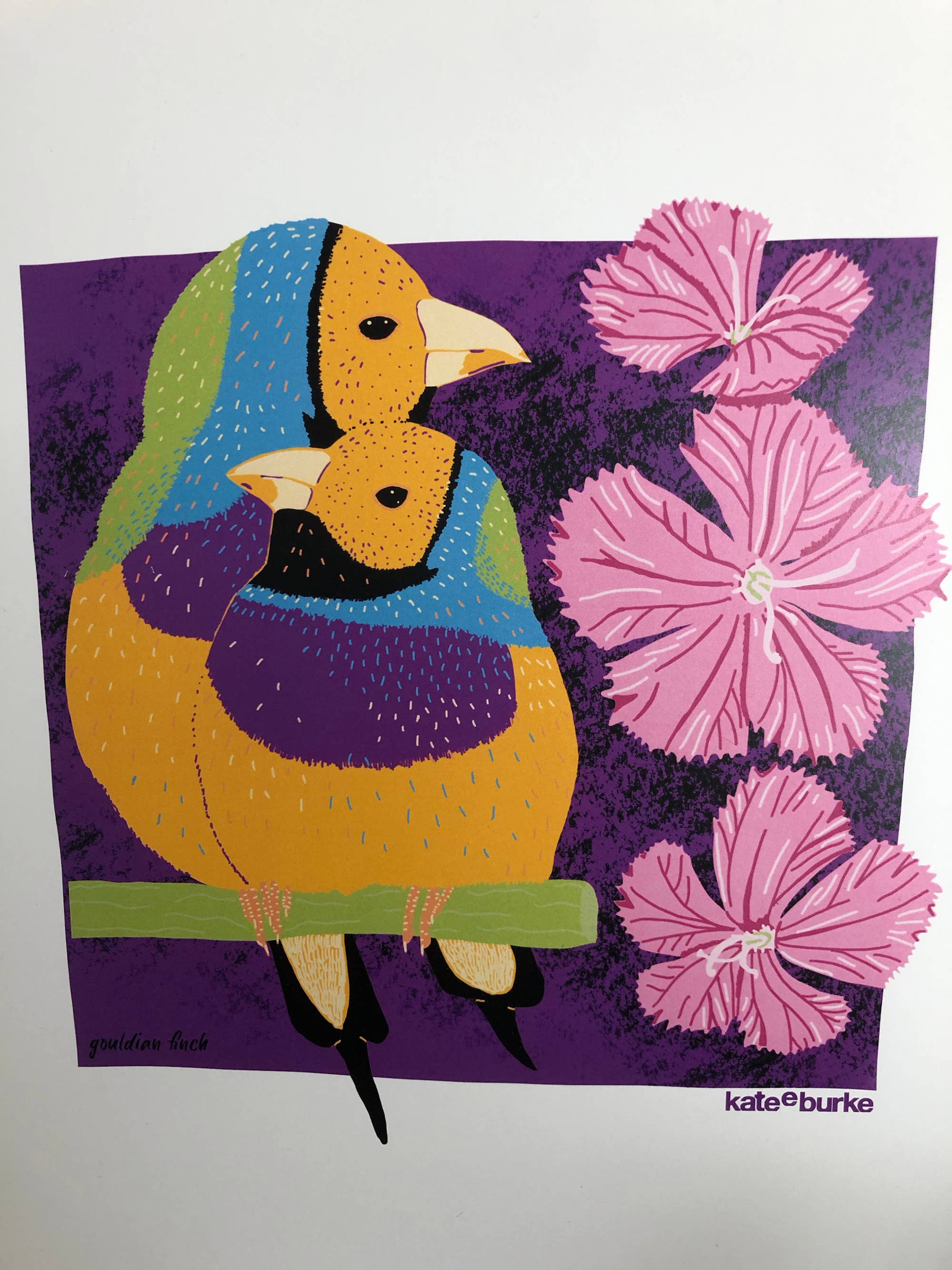 Kate E. Burke - Wholesale Art Print - Bird Series: Gouldian Finch 11x14 Digital Print3