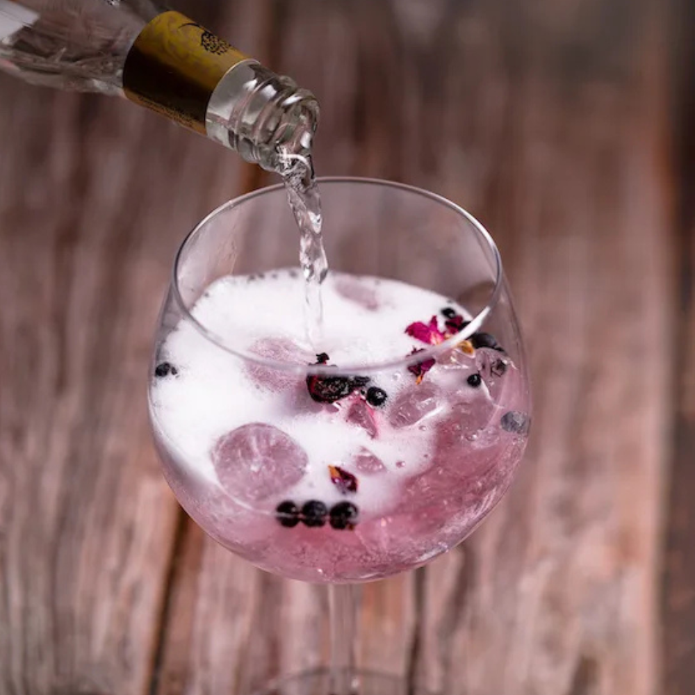 Drink Botanicals Ireland - Wholesale DIY Drink Kit - Gin Fusion Kit2