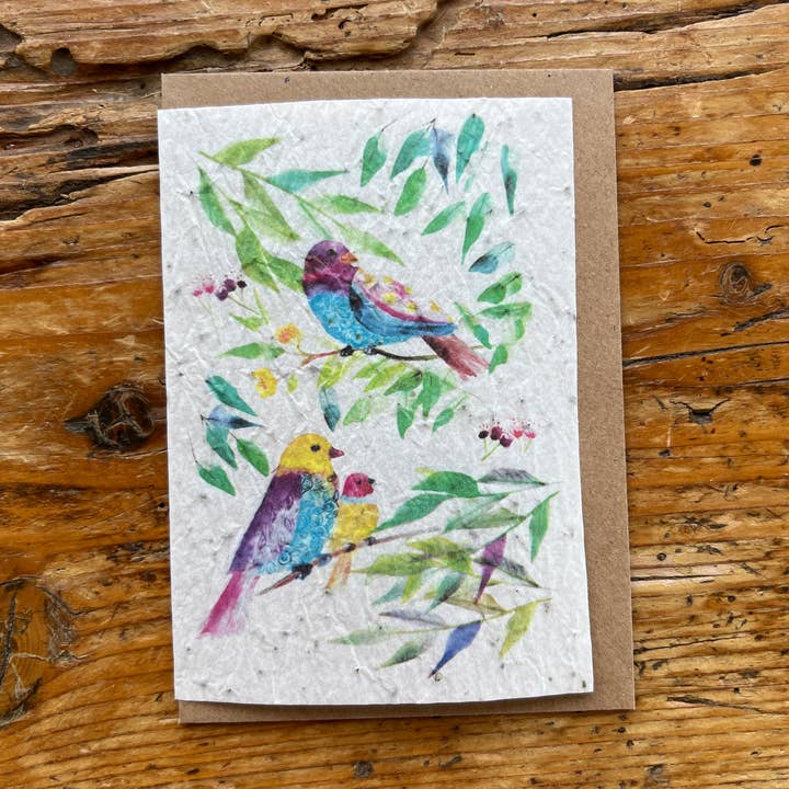 Biglietto per piantare semi «Bird» in inglese per la vendita all'ingrosso da parte di Les cartes de Lulu