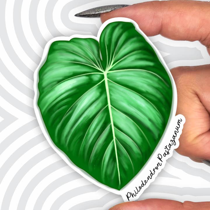 Philodendron Pastazanum 3" Plant Sticker for wholesale by AK Project Unicorn