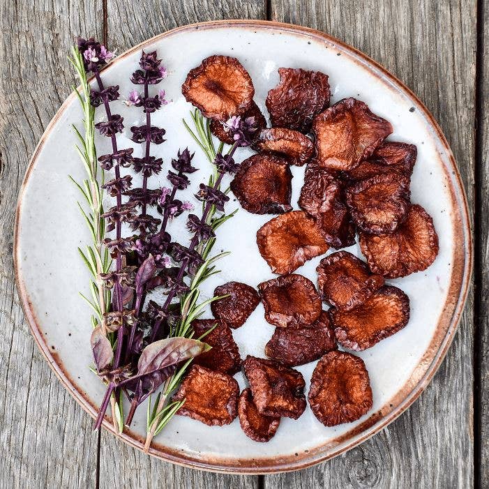 Frog Hollow Farm - Wholesale Dried/Dehydrated Fruit - Organic Dried Pluots7