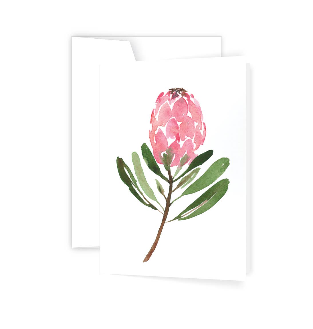 Ellen Walsh Designs - Wholesale Everyday greeting card - Protea - Card