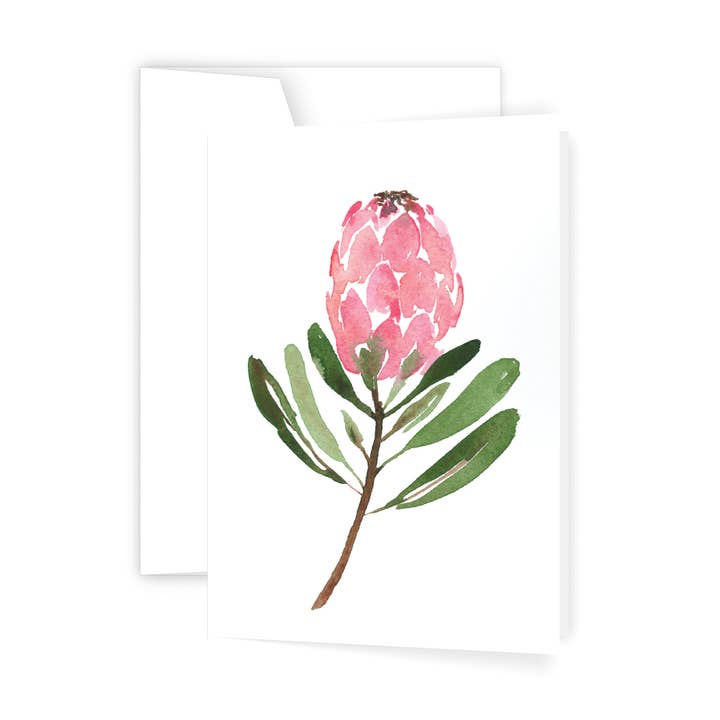 Ellen Walsh Designs - Wholesale Everyday greeting card - Protea - Card0