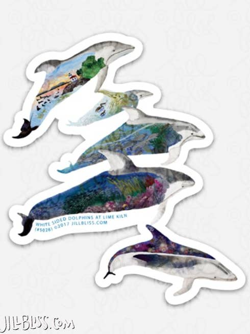 HABITAT PACIFIC HVIDSIDEDE DELFINER KLISTERMÆRKE for engroshandel hos Jill Bliss Artwork