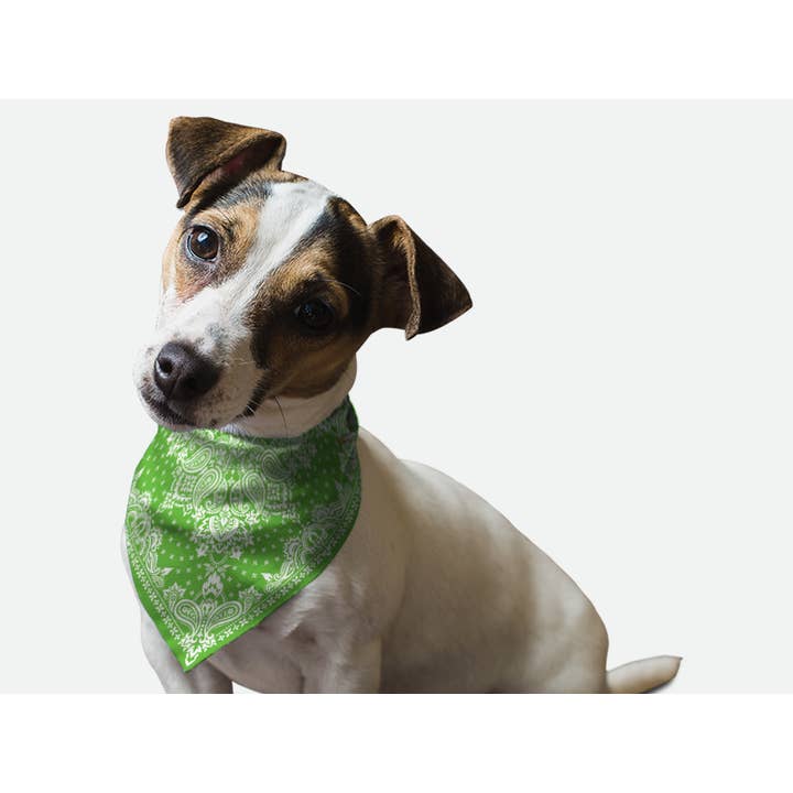 Bandoggies Breeze Pet Bandana - Small Kelly Green Paisley for wholesale by Bandoggies