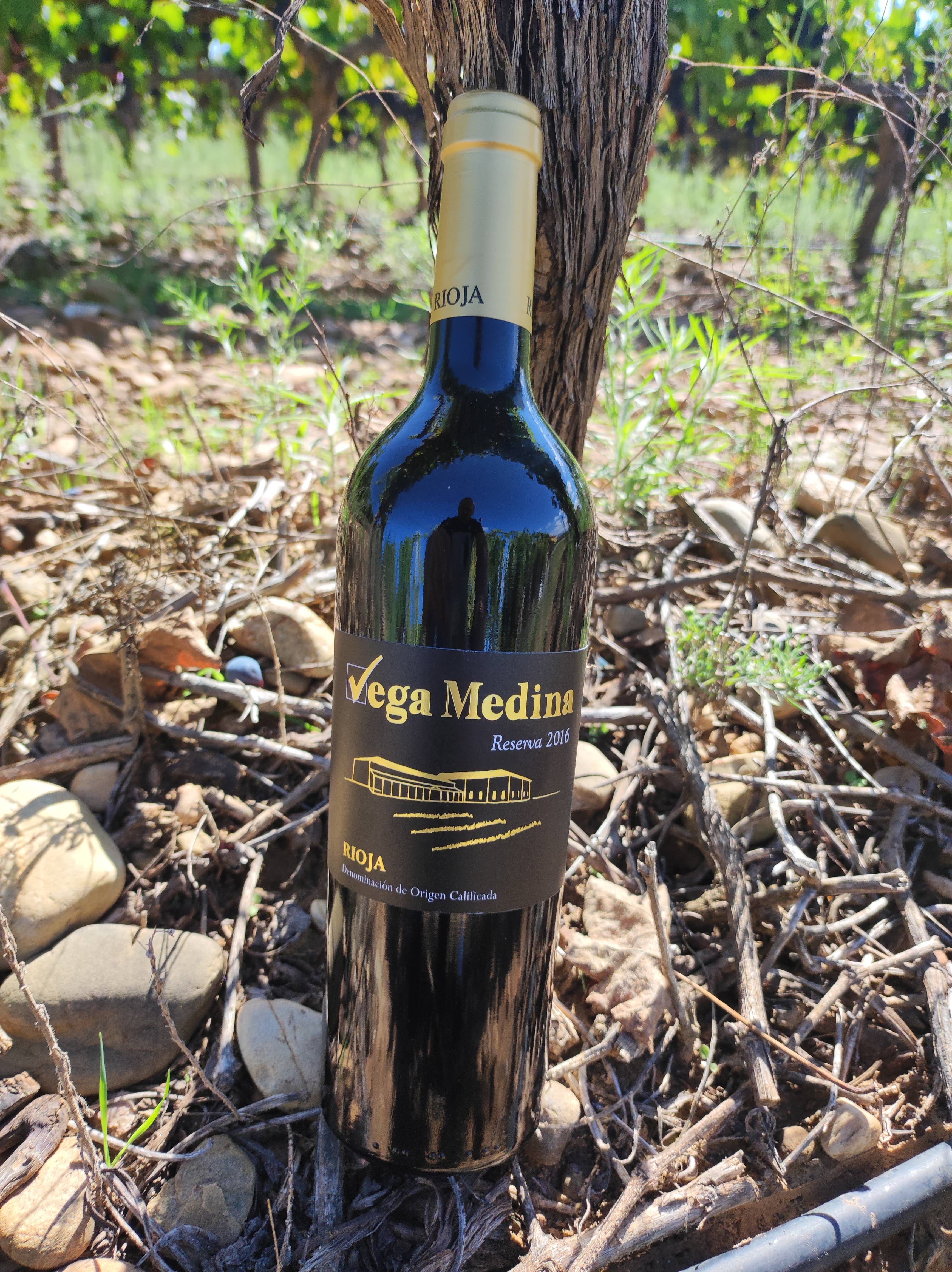 Viñedos y Bodegas Lyng – Engroshandel Rødvin – Reserva D.O.C. rødvin Rioja Vega Medina8