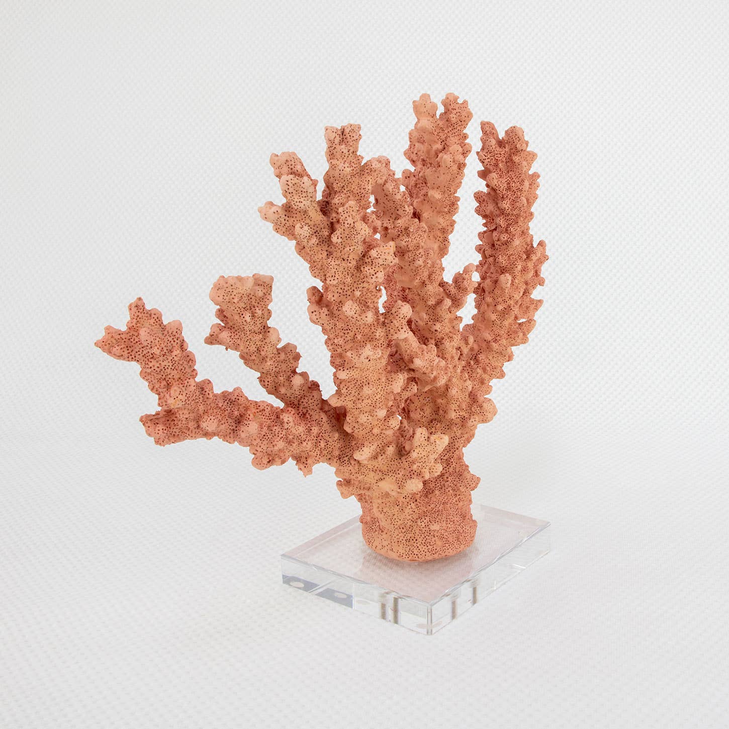 Lillian Home - Wholesale Decorative Tabletop Object - Coral Burst1