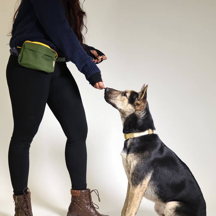 Major Darling - Wholesale Belt Bag - Women's - Dog Walking Fanny Pack9