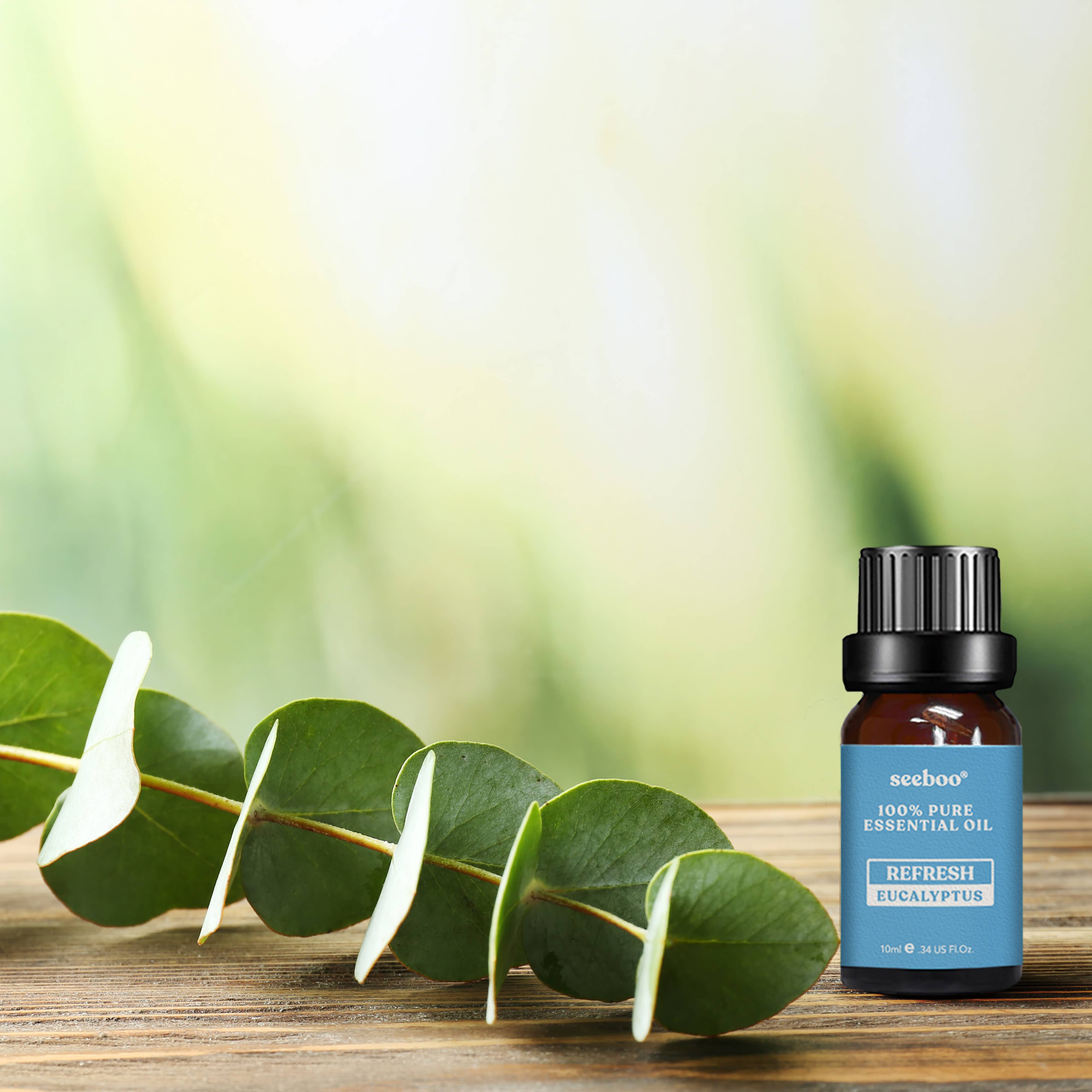 seeboo - Wholesale Essential Oil - REFRESHING EUCALYPTUS OIL4