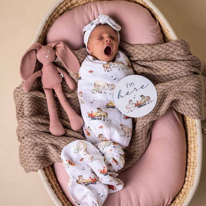 Snuggle Hunny - Wholesale Milestone art/keepsake – Child & baby - Pony Pals & Pebble Reversible Milestone Cards4