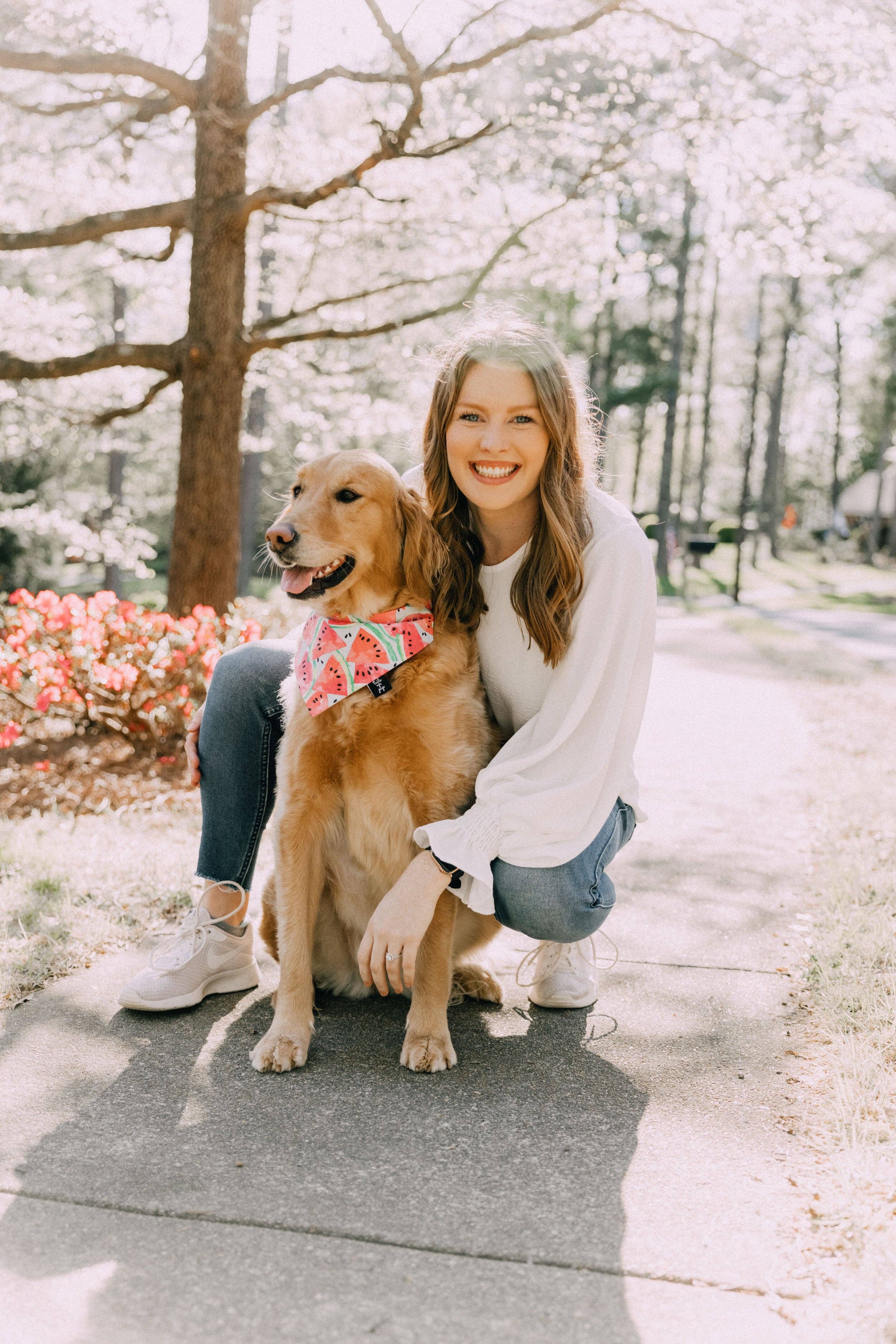 Tails Up, Pup - Wholesale Pet Bandana - Dog - Watermelon Dog Bandana - Summer Dog Bandana1