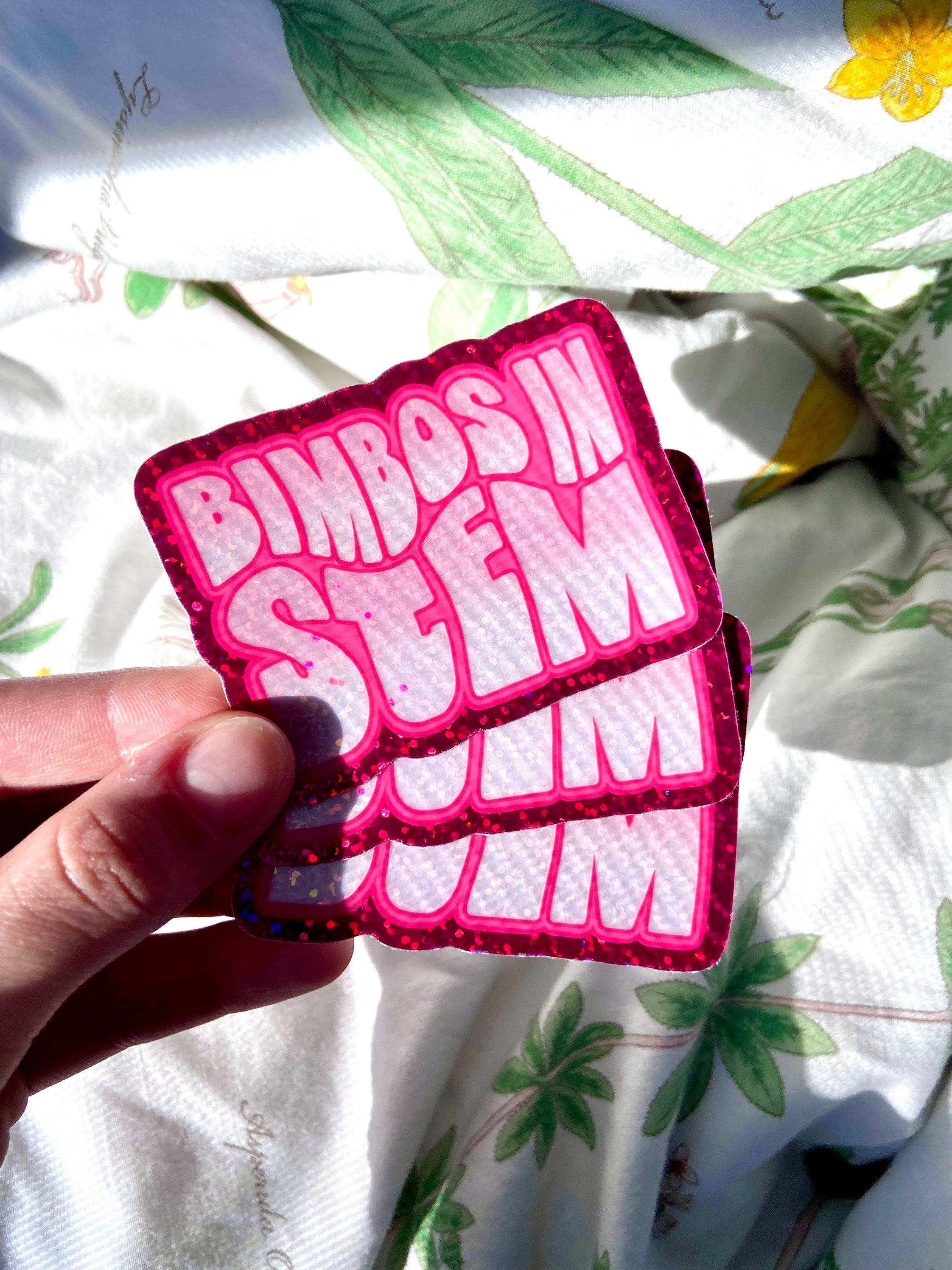 Hollandaize Art - Wholesale Sticker - Bimbos in STEM Sparkle Sticker4