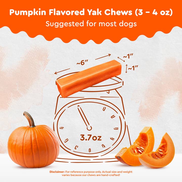 Kathmandu's Authentic Himalayan Cheese Yak Chew - Wholesale Pet Treats - Dog - Pumpkin Flavored Yak Chews by THE SAFE DOG CHEW COMPANY2