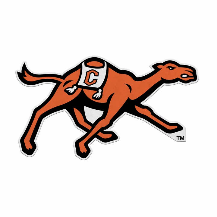 Rico Industries - Wholesale Sign - NCAA Campbell Fighting Camels Shape Cut Pennant