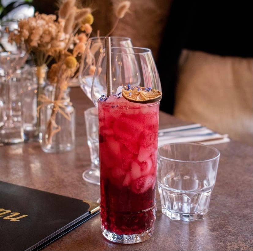 Ibahis - Wholesale Soda/Carbonated Drink - IBAHIS sparkling hibiscus drink1