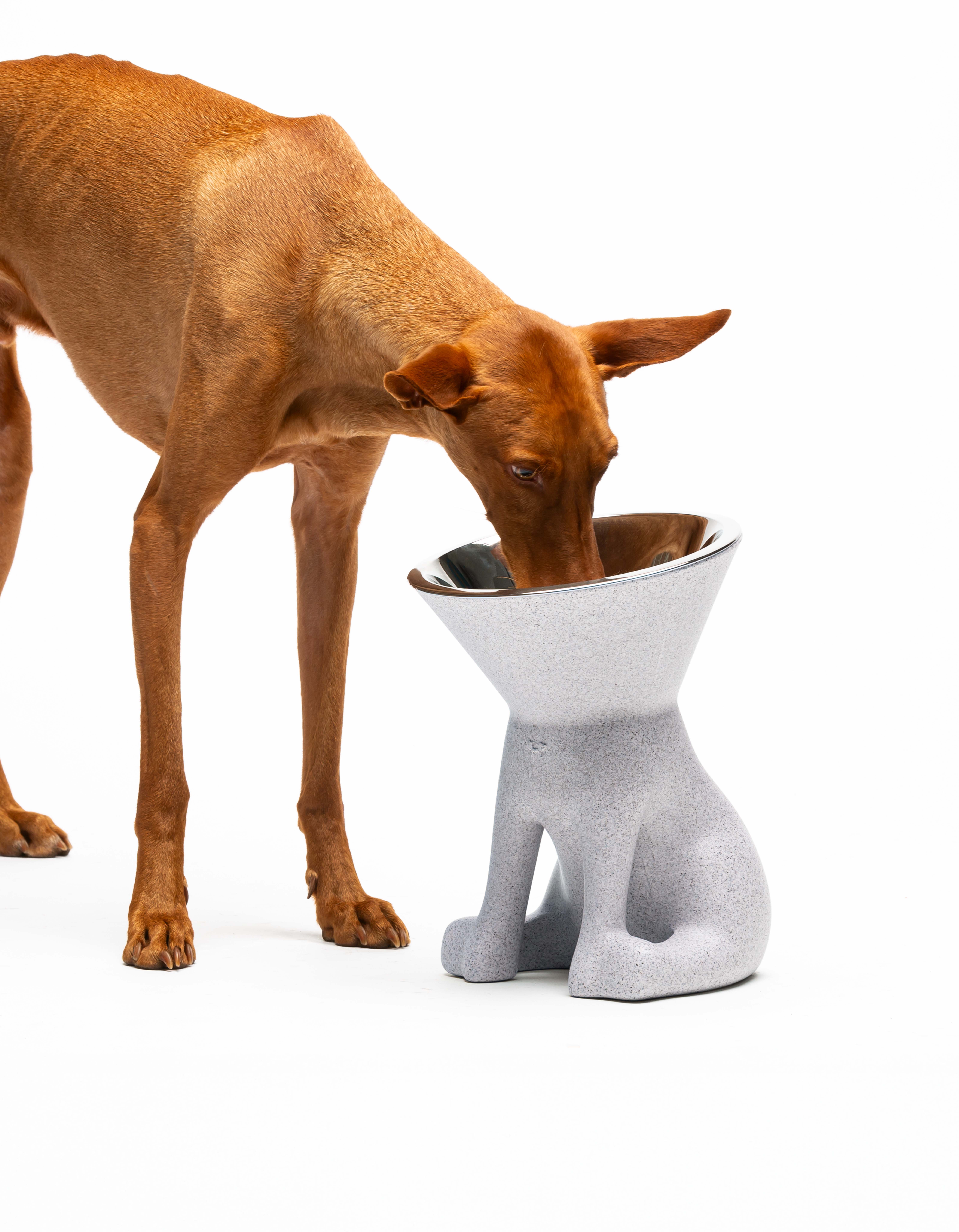 United Pets - Vente Gamelle – chat et chien - Elizabeth : gamelle surélevée pour chien18